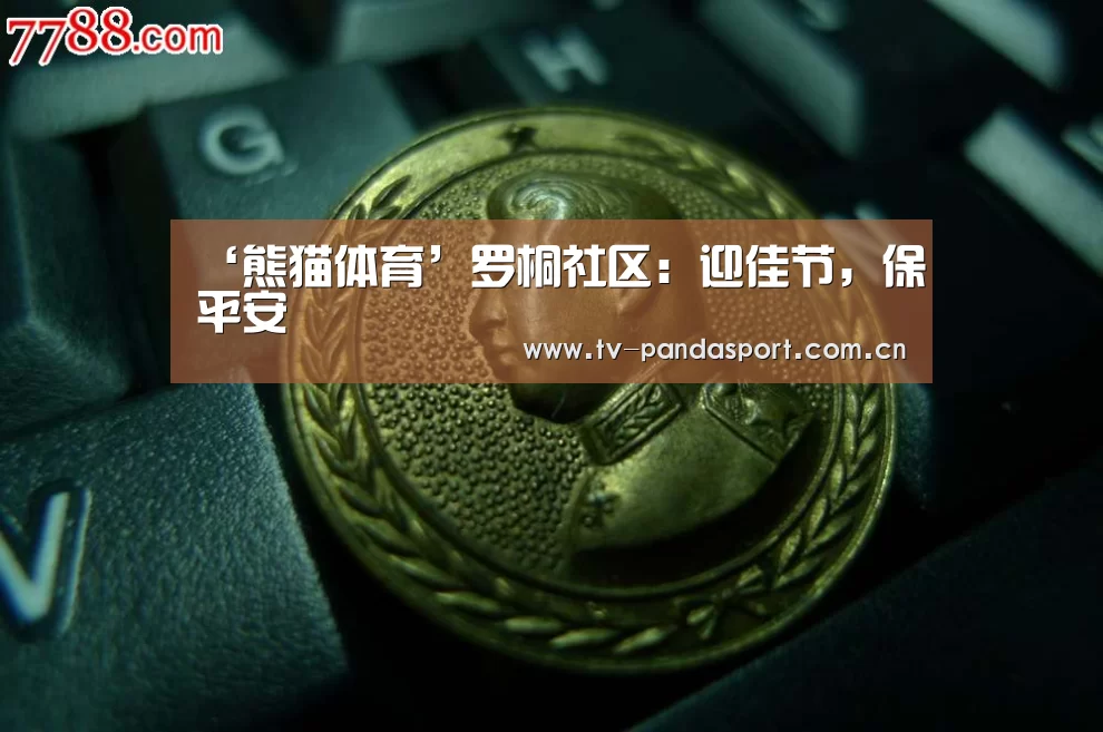 ‘熊猫体育’罗桐社区:迎佳节,保平安(图3) 体育API